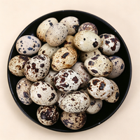 Quail Eggs